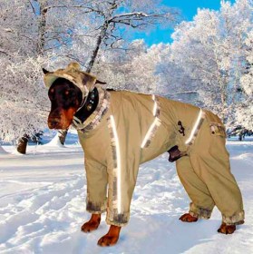 ЗИМНЯЯ ОДЕЖДА